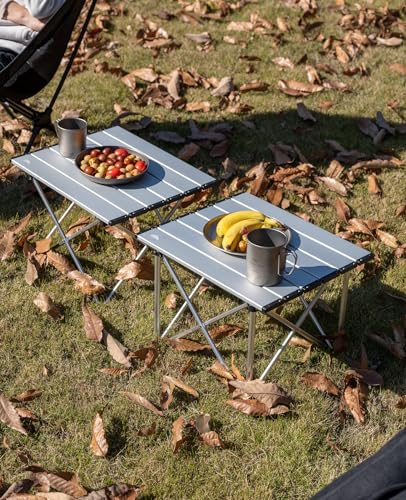 iClimb Ultralight Compact Camping Folding Table with Carry Bag (Blue - S)