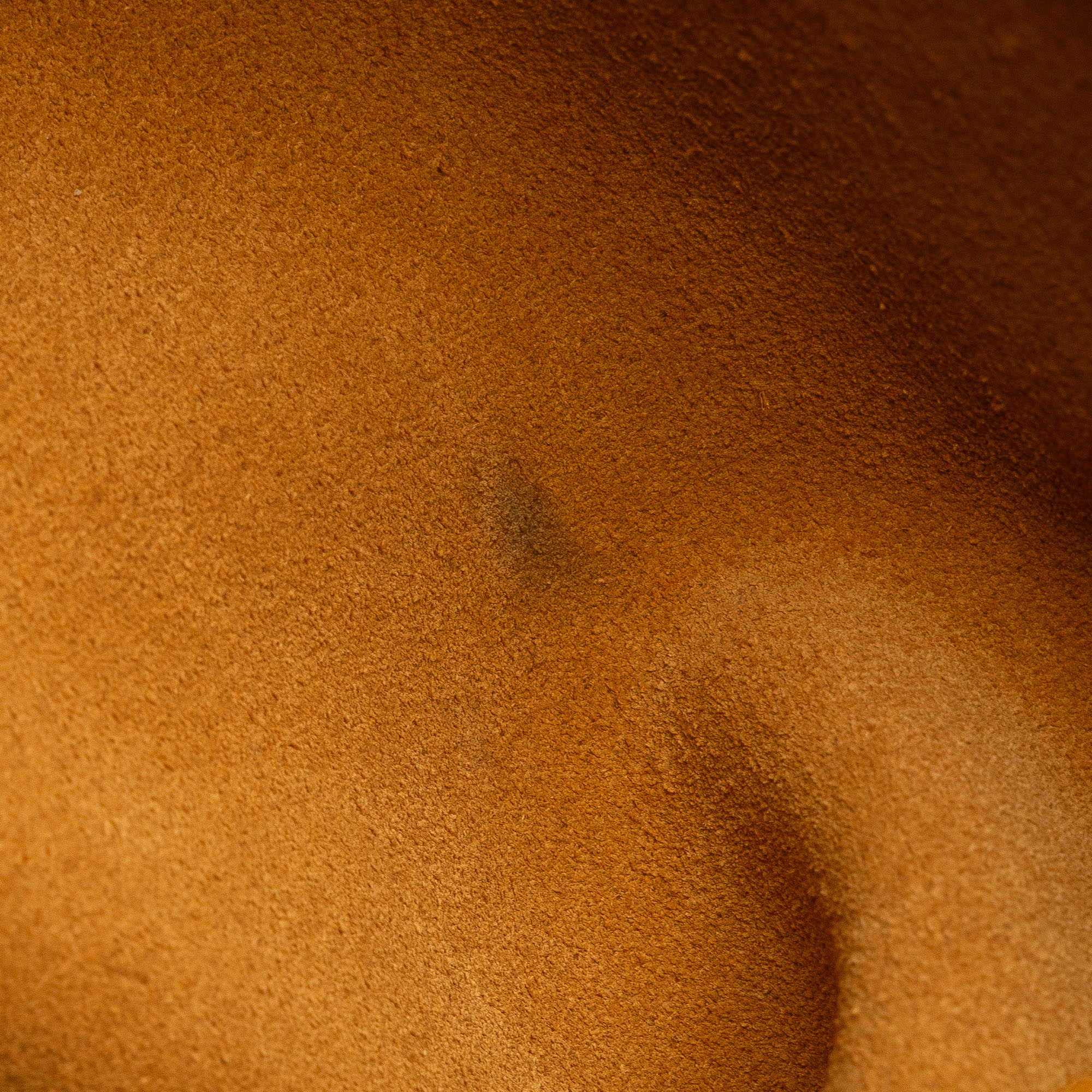 Pre-Owned Authenticated Loewe Handbag Calf Leather Yellow Top HandleBag Unisex (Good)