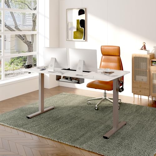 FLEXISPOT EN2 Whole-Piece Standing Desk with Clamp Power Strip, 55 x 28” Electric Stand Up Height Adjustable Desk with Cable Management (Black Frame + 55