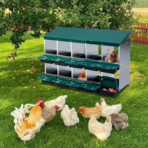 Chicken Nesting Box, 10 Hole 2 Layer Hen Nest Box with Legs, Roll Away Eggs Laying Boxes,Cleanable Pull Out Hen Roosting Boxes