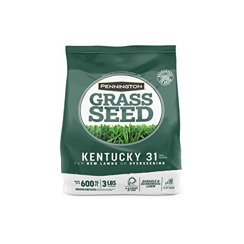 Pennington Kentucky 31 Tall Fescue Penkoted Grass Seed 40 lbs