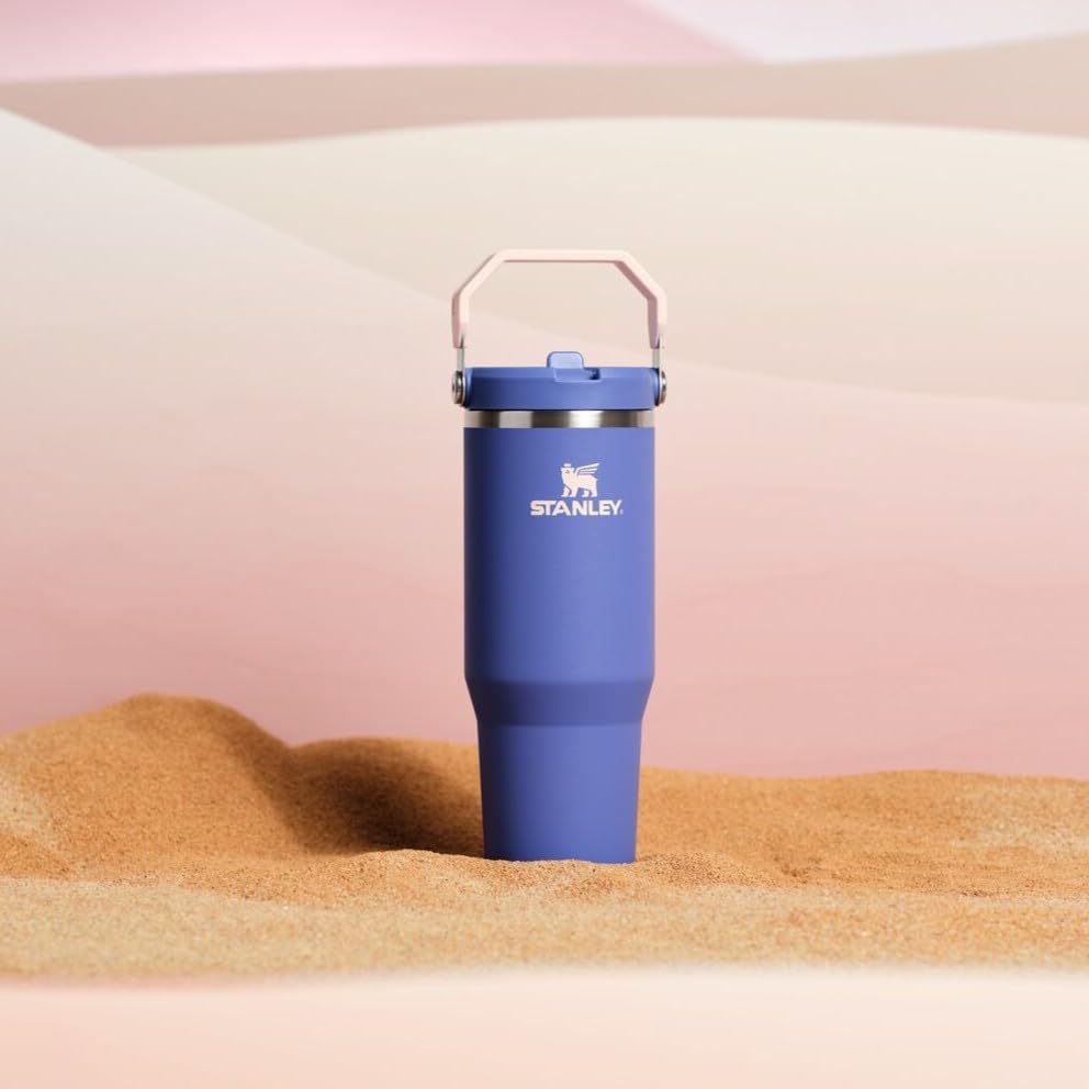 Stanley IceFlow Flip Straw Tumbler with Handle 30 oz | Twist On Lid and Flip Up Straw | Leak Resistant Water Bottle | Insulated Stainless Steel |BPA-Free | Lilac
