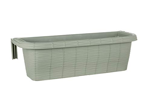 Apollo Exports International AP-30312 23.5