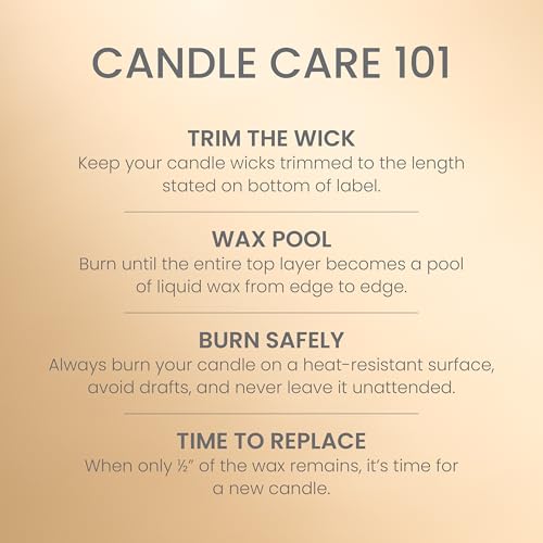 Yankee Candle Sparkling Cinnamon, Christmas Scented Candle, 22oz Large Jar with up to 150 Hour Burn Time, Giftable