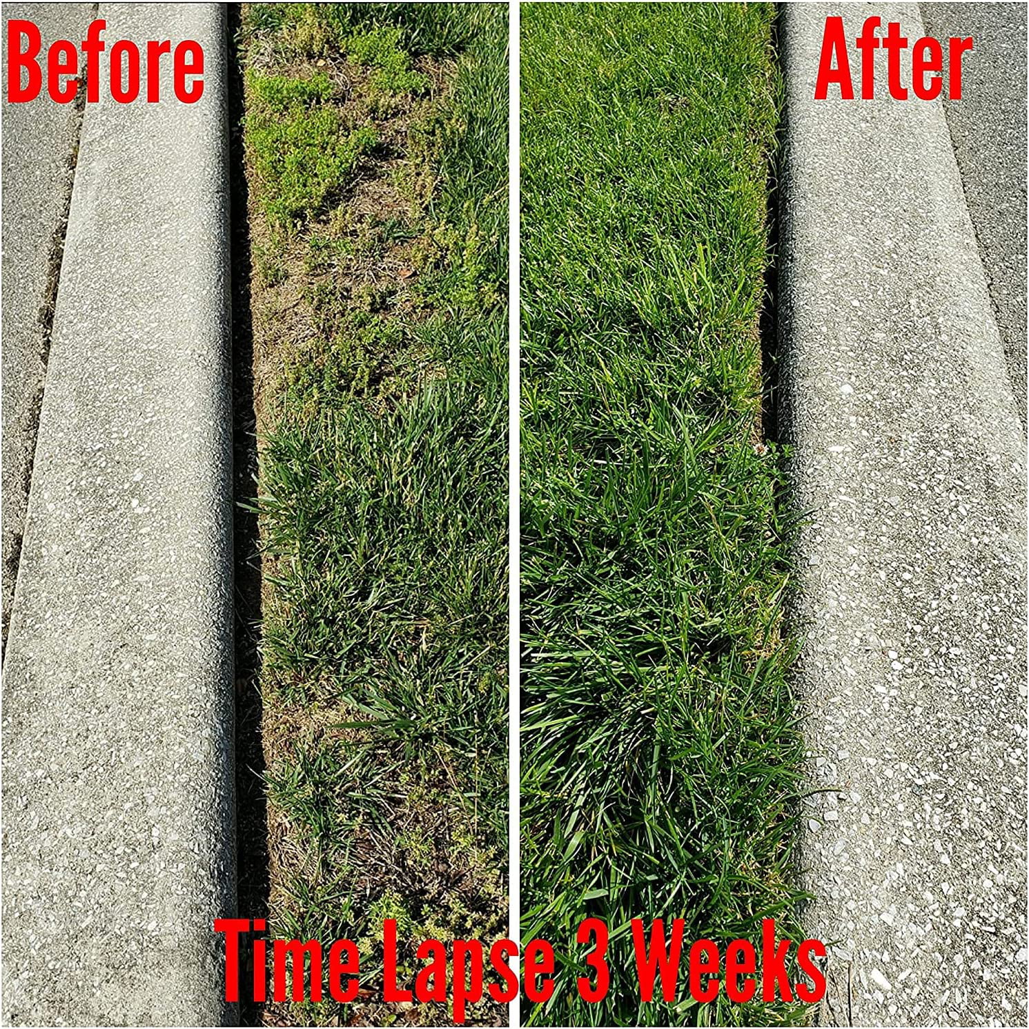 Essential Plus 1-0-1 Quart