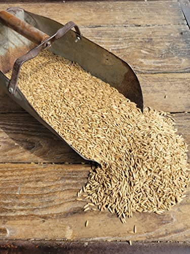 Ernst Grain's Oats, Feed Grade, 50 lb