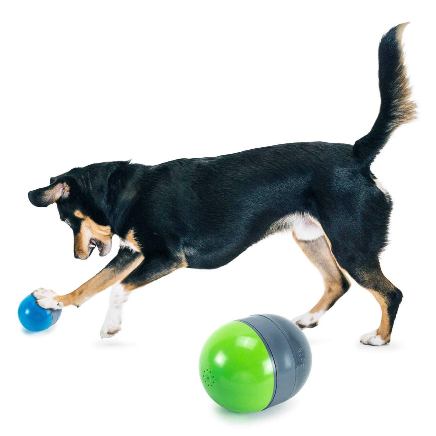 PetSafe Ricochet Electronic Dog Toy - Pet Supplies online store