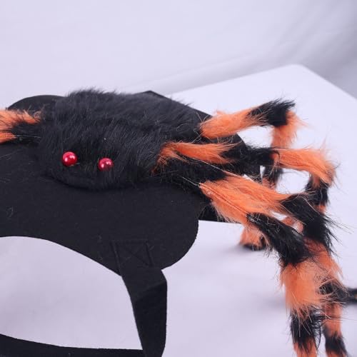 Halloween pet Spider Dress up Clothes