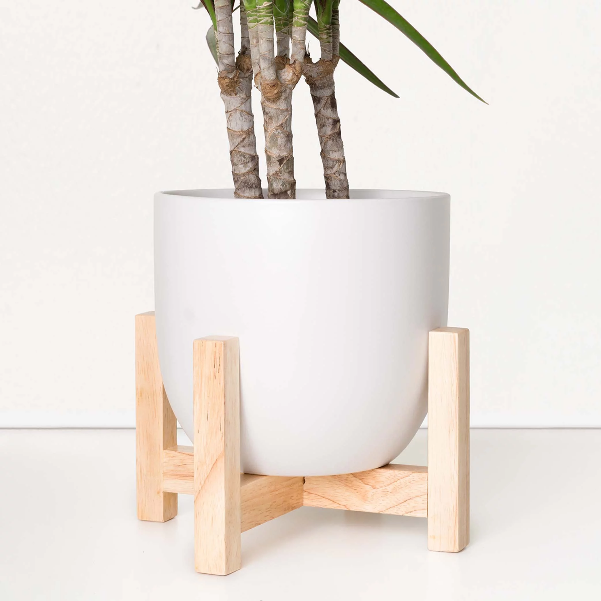 Peach & Pebble 7 in. White Ceramic Egg Shaped Indoor Planter + Medium Wood Stand (7 in. to 12 in.)