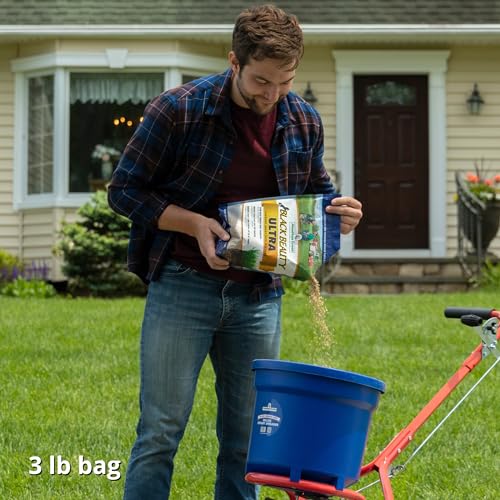 Jonathan Green (10323) Black Beauty Ultra Grass Seed - Cool Season Lawn Seed (25 lb)