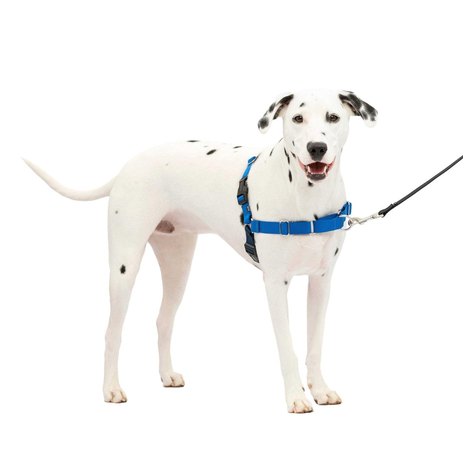 PetSafe Easy Walk Dog Harness - Pet Supplies online store