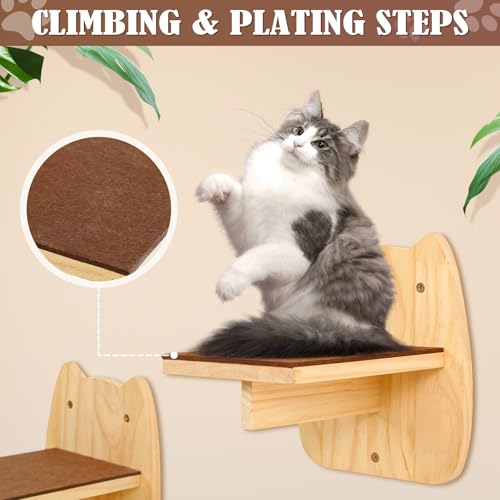 Calmbee Cat Wall Shelves - 70