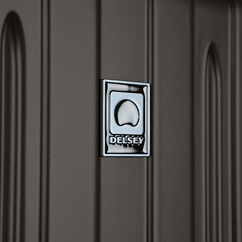 Delsey Luggage Titanium 2 Piece Set (Carry-On & 25