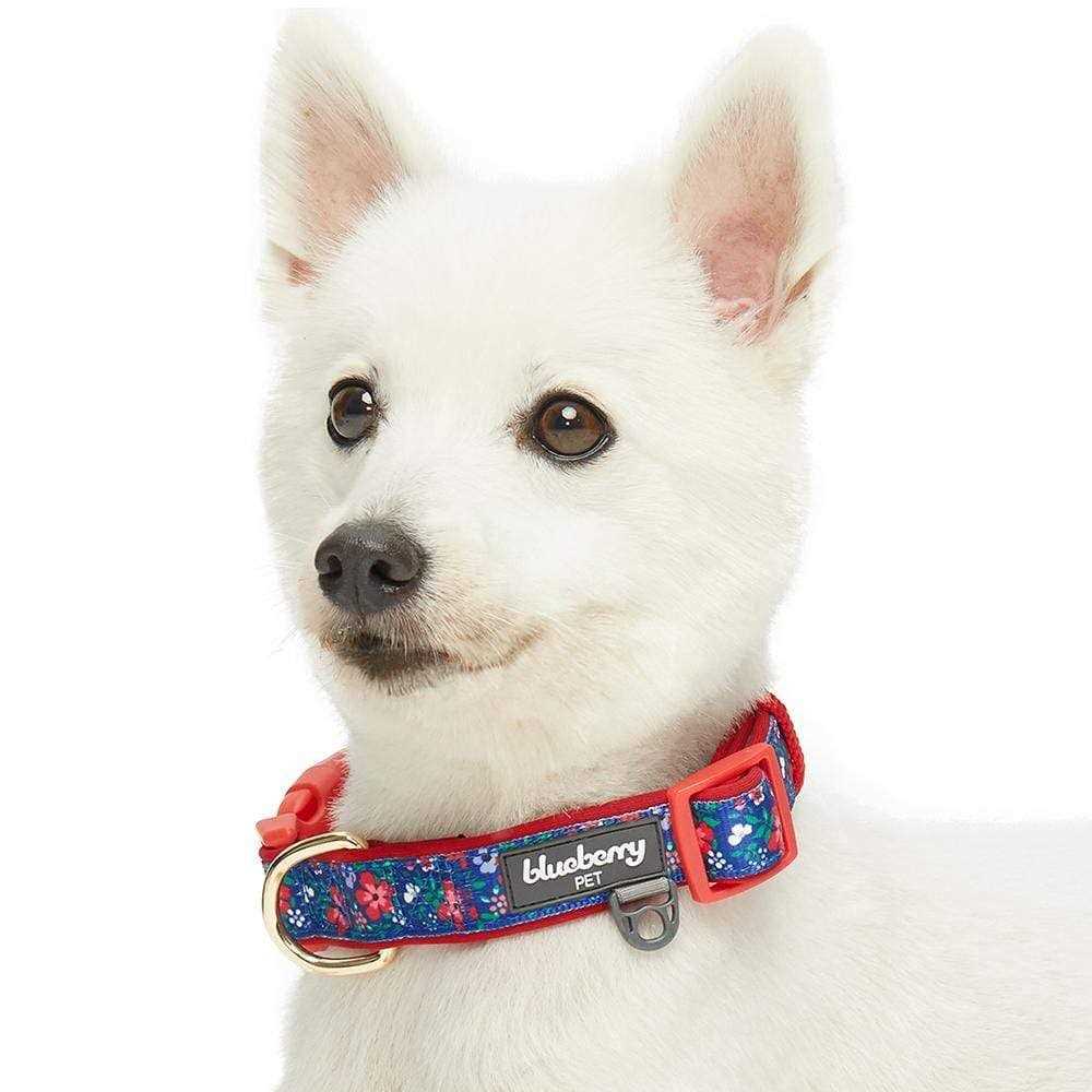 Blueberry Pet Dog Collar - Pet Supplies online store