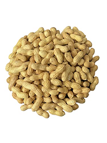 Premium Raw Peanuts in Shell for Animal Feed - 10LB