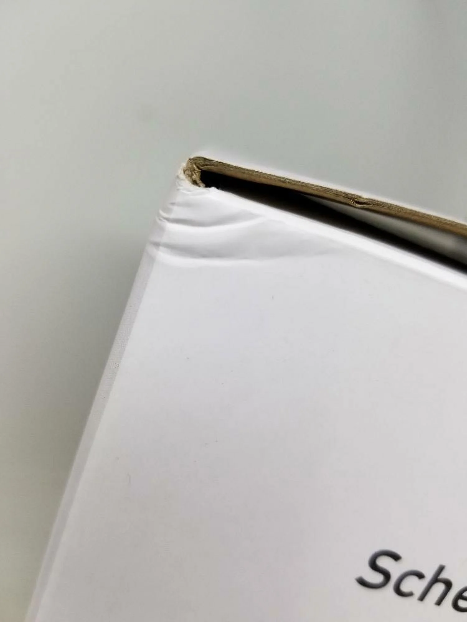 Chowtime Wi-Fi Automatic Pet Feeder