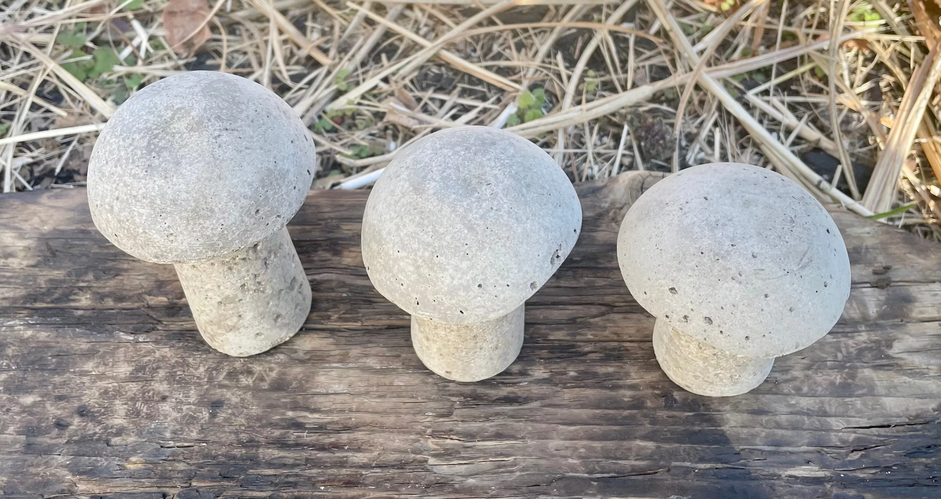 Cement Mushrooms, Hypertufa, Yard art, garden decor, Fairy Garden, Shrooms,Gnome garden, Toadstools