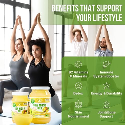 Wildcrafted Irish Sea Moss Gel | Made in USA | Rich in Vitamins & Minerals | Sea Moss Gel Organic Raw | Nutritional Supplement | Strawberry (16 oz)