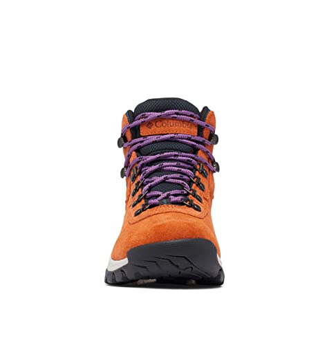Columbia Women's Discontinued Newton Ridge Plus Waterproof Amped Hiking Boot
