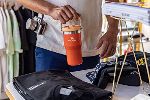 Stanley IceFlow Flip Straw Tumbler with Handle 30 oz | Twist On Lid and Flip Up Straw | Leak Resistant Water Bottle | Insulated Stainless Steel |BPA-Free | Lilac