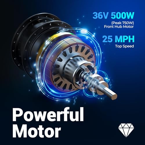 Electric Tricycle for Adults, 20