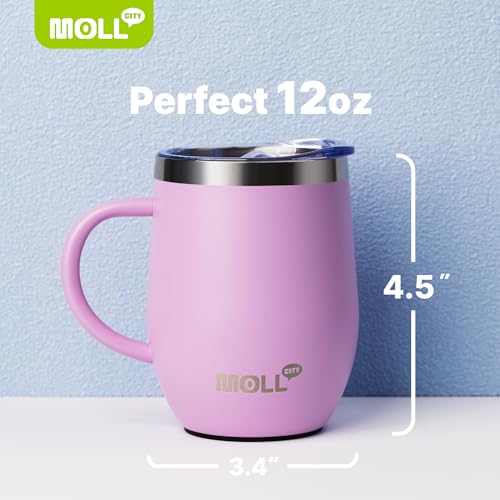 Tumbler with Lid and Straw-12 oz Stainless Steel Double Wall Vacuum Insulated Tumbler Cup with Handle (Canyon Red-Sky Blue)