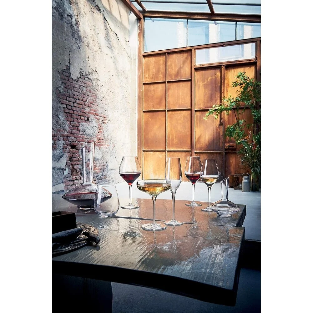 Luigi Bormioli Vinea Red Wine Decanter 25.25oz