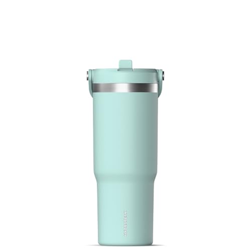 Hydrapeak Nomad 24 oz Tumbler with Handle and Straw Lid, Leakproof, Double Insulated, 24oz Cup Stainless Steel (Blush)