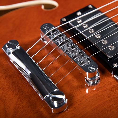 Redid Semi-Hollow Body Electric Guitar RD-100 Jazz Guitar with F-Hole,Maple neck,humbucker Pickups(Brown)