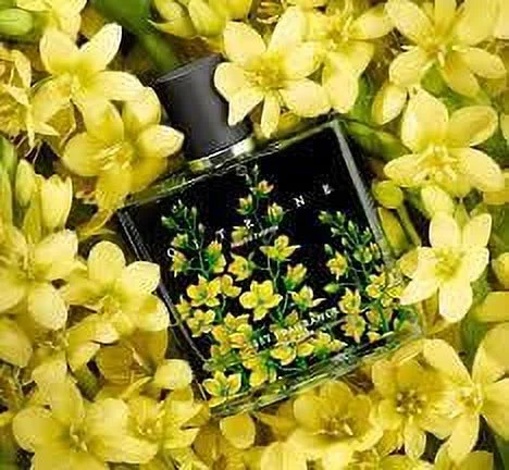 Nest New York Fragrances Citrine Perfume Eau de Parfum, 3.4 Fl oz / 100 Ml