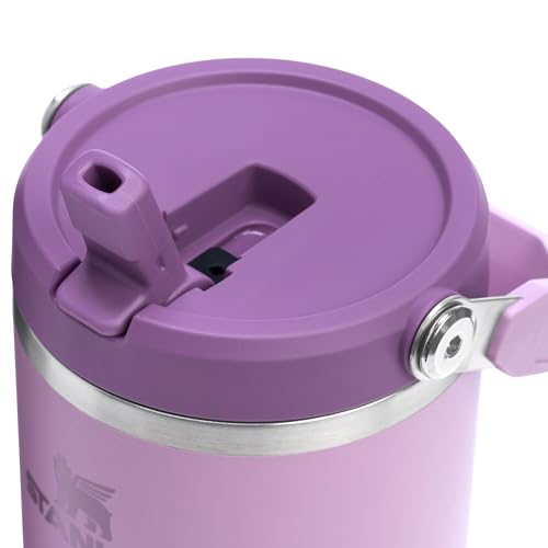 Stanley IceFlow Flip Straw Tumbler with Handle 30 oz | Twist On Lid and Flip Up Straw | Leak Resistant Water Bottle | Insulated Stainless Steel |BPA-Free | Lilac