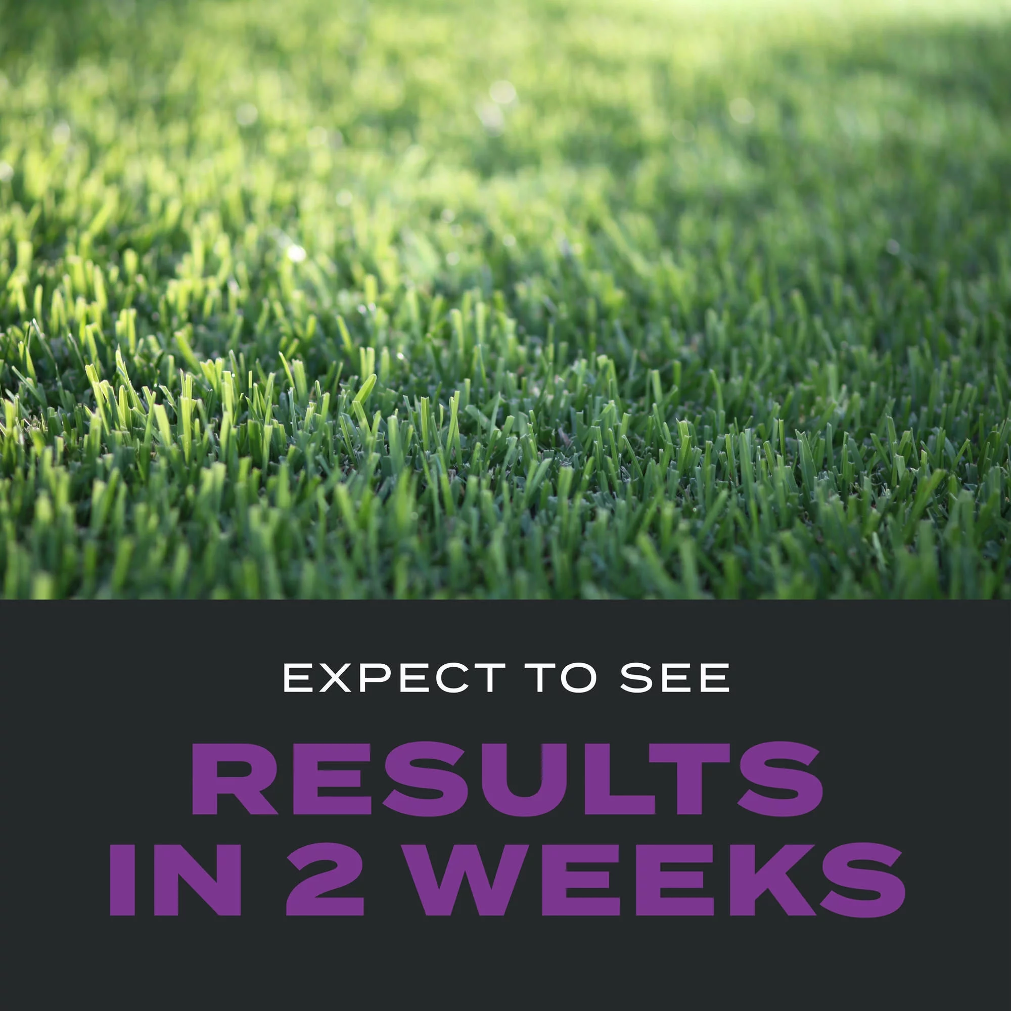 Scotts Turf Builder Southern Triple Action, 4,000 sq. ft., 13.32 lbs.