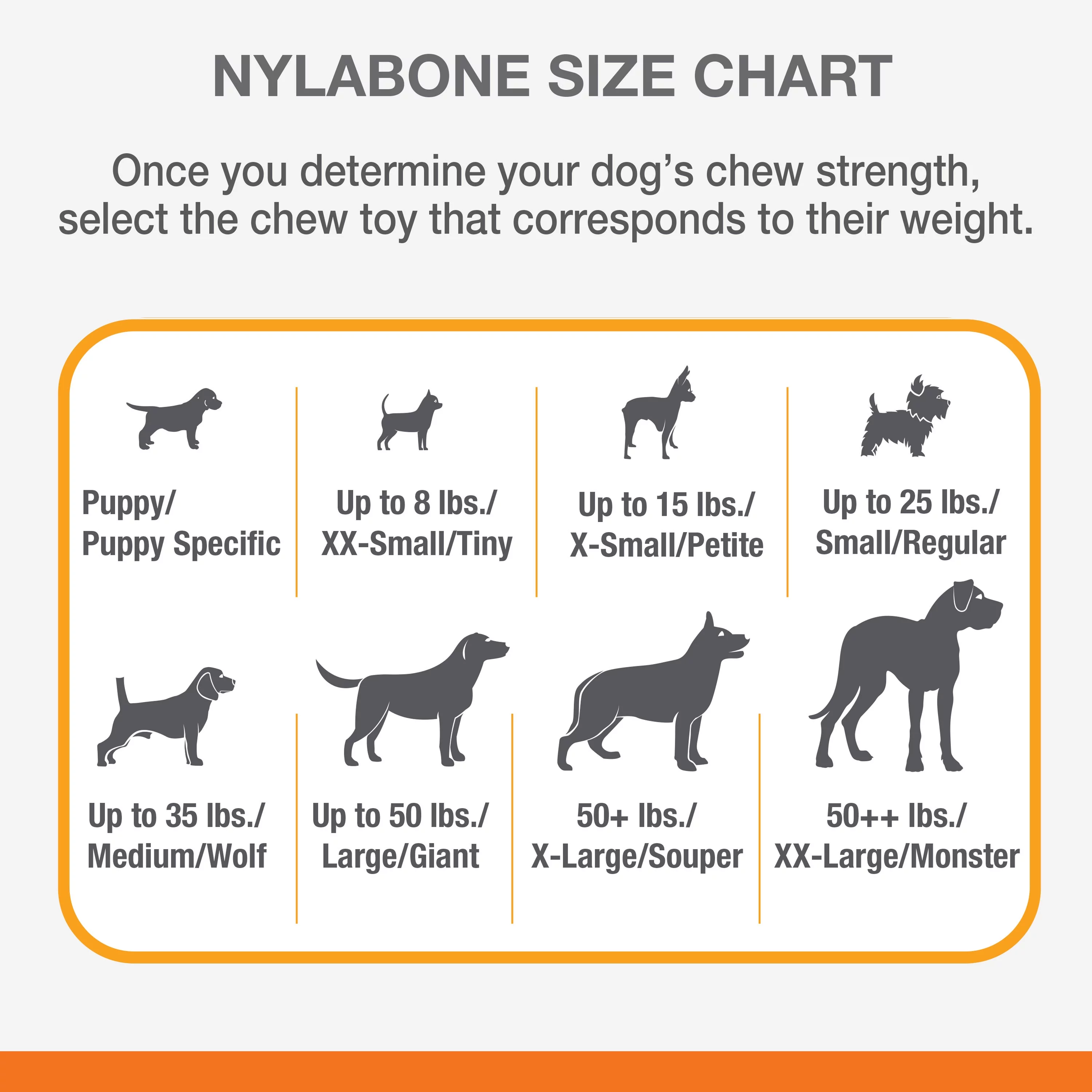 Nylabone Dental Chew and Flexi Bone Combo Pack, Dry Dog Chew Toys Chicken Large/Giant