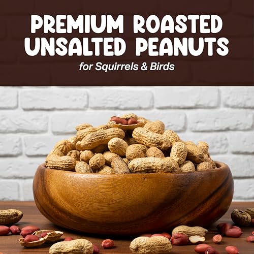 CHAIN & JO SWEETS Peanuts for Squirrels – Roasted Unsalted Peanuts in Shell Bulk 10LB Approx 2,000 Pieces – Ideal Food for Birds, Squirrels & Humans