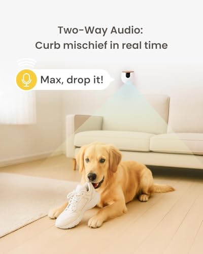 Furbo 360° Cat Camera - Unlock Camera & Smart Features w/Paid Plan: Home Security & Pet Safety Alerts, Rotating Treat Dispenser w/Speaker, Smart Cam w/Phone App (Subscription Required, 3mo Minimum)