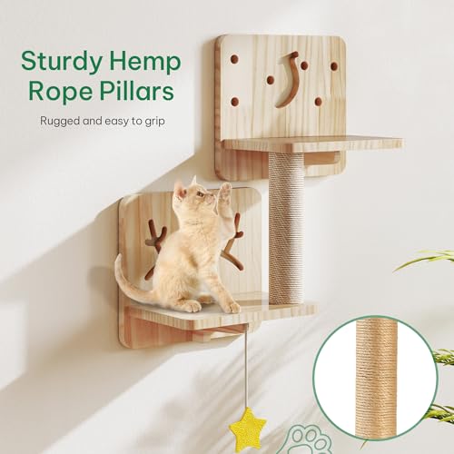 Cat Wall Shelves and Perches, Solid Wood Wall Mounted Cat Furniture, Set of 13 Cat Climbing Shelves with Moon Hammock, House, Wall Ladder, Scratching Post and Cat Tunnel