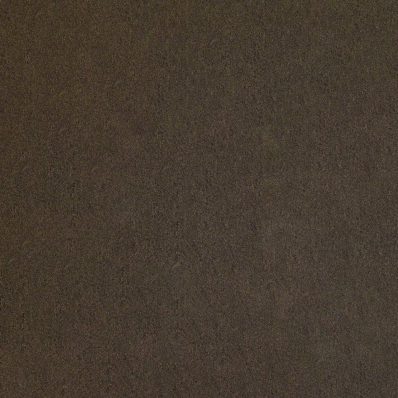 4'x12' Hickory - Indoor Outdoor Area Rug Carpet Runners with a Premium Fabric Finished Edges