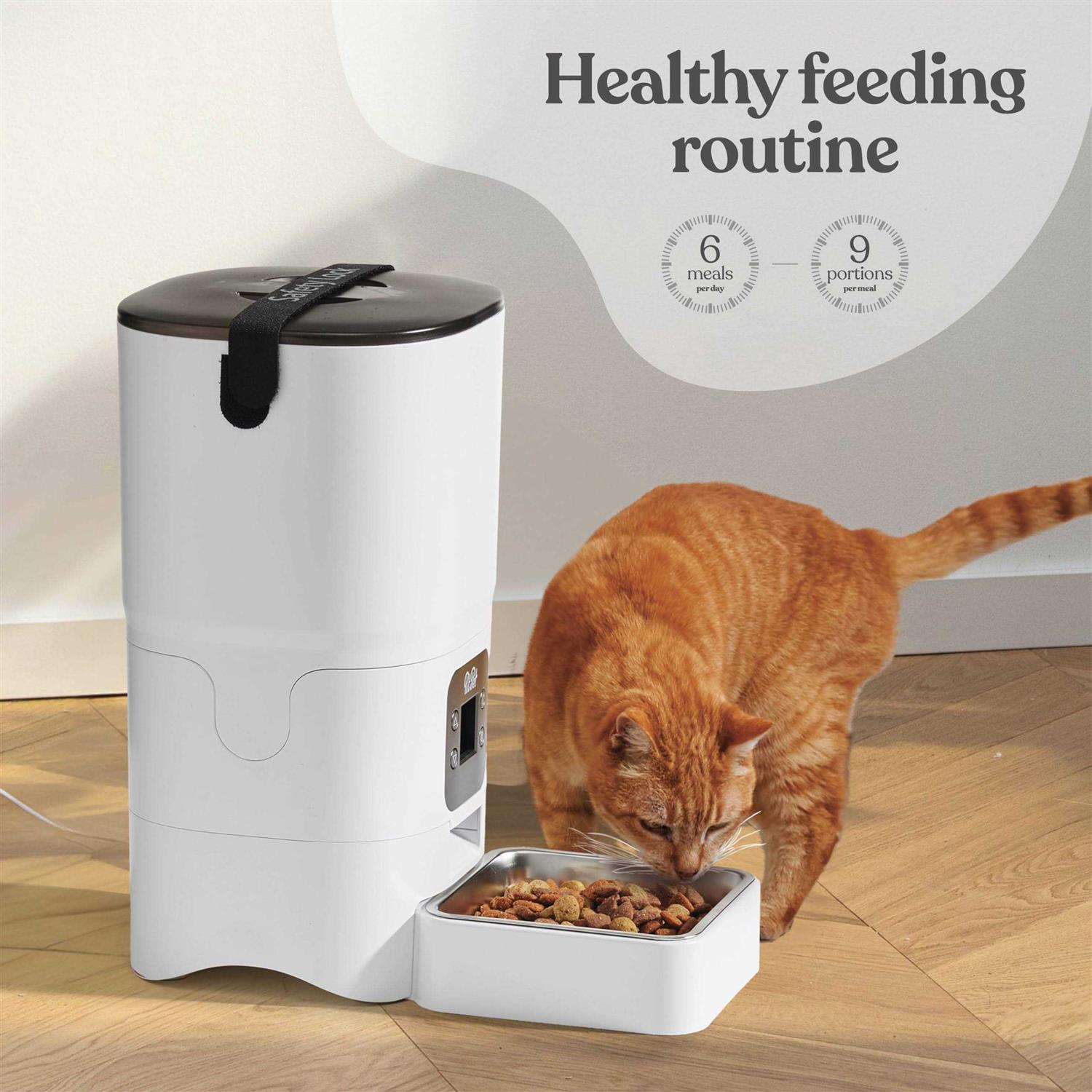 Pitpet Smart Automatic Cat Feeder 6-L Reliable Automatic Cat Food Dispenser with Display LCD Screen for Easy Set Up -Portion Control Automatic Dog - Pet Supplies online store