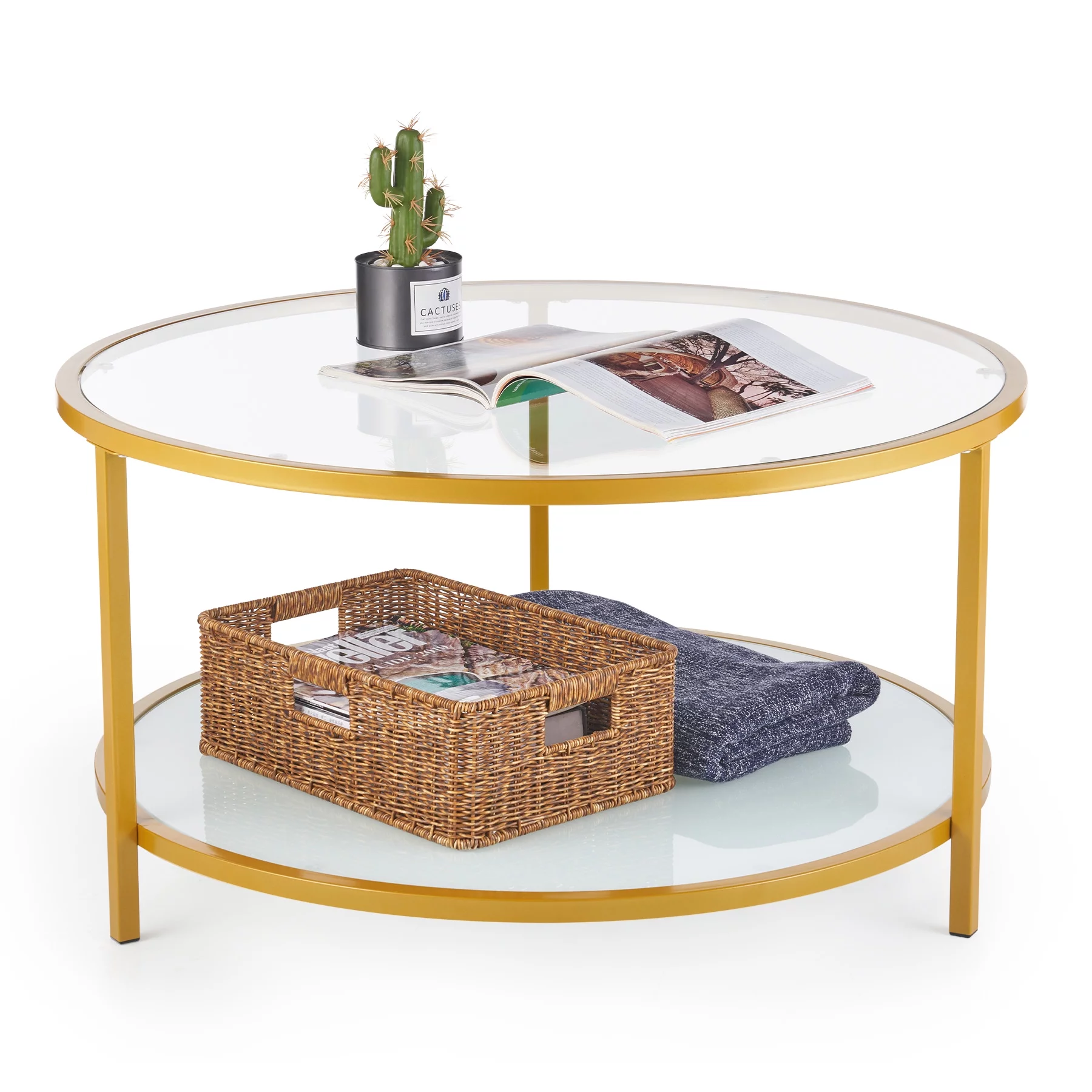 Glass Coffee Table with Storage Shelf 34