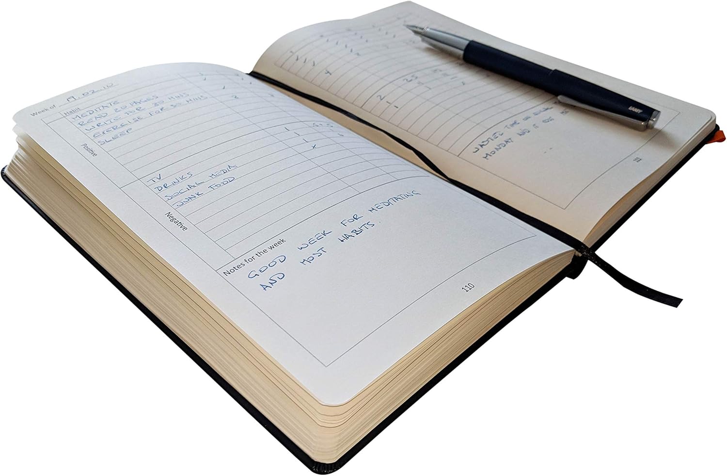 Habit Tracker and Journal by NTBK - Premium Quality Daily Habit Journal and System that Will Make You Want To Build New Habits and Improve Your Life