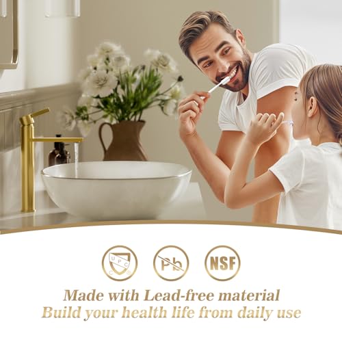 Phiestina Brushed Gold One Hole High Bathroom Vessel Sink Faucet, Single Hole Single Handle Tall Bathroom Faucet, with Pop Up Drain and Water Supply Line,FH01-BG-V