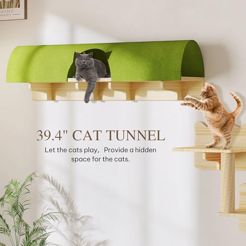 Cat Wall Shelves and Perches, Solid Wood Wall Mounted Cat Furniture, Set of 13 Cat Climbing Shelves with Moon Hammock, House, Wall Ladder, Scratching Post and Cat Tunnel