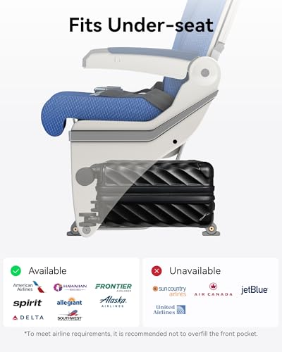 LUGGEX Luggage with Spinner Wheels, Polycarbonate Expandable Hard Shell Suitcase, Carry On 20 Inch, Charcoal Metallic