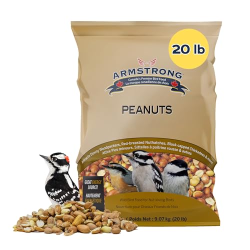 Armstrong Wild Bird Food Shelled Peanut Halves Bird Seed, 20 Pounds - for Downy Woodpeckers, Red-Breasted Nuthatches and Black-Capped Chickadees for Outside Feeders
