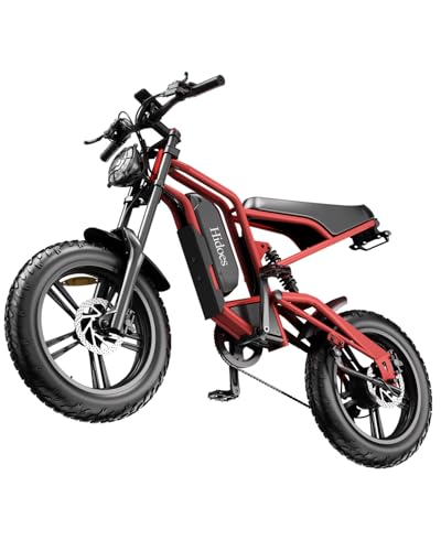 HIDOES B6 Electric Dirt Bike for Adults 20 inch Fat tire Fast 30-40mph ebike 300+ lbs Heavy Duty Mountain Bicycle Off Road 40 Miles Long Range Bikes for Commuter Mens Women Teens Girls e-Bike