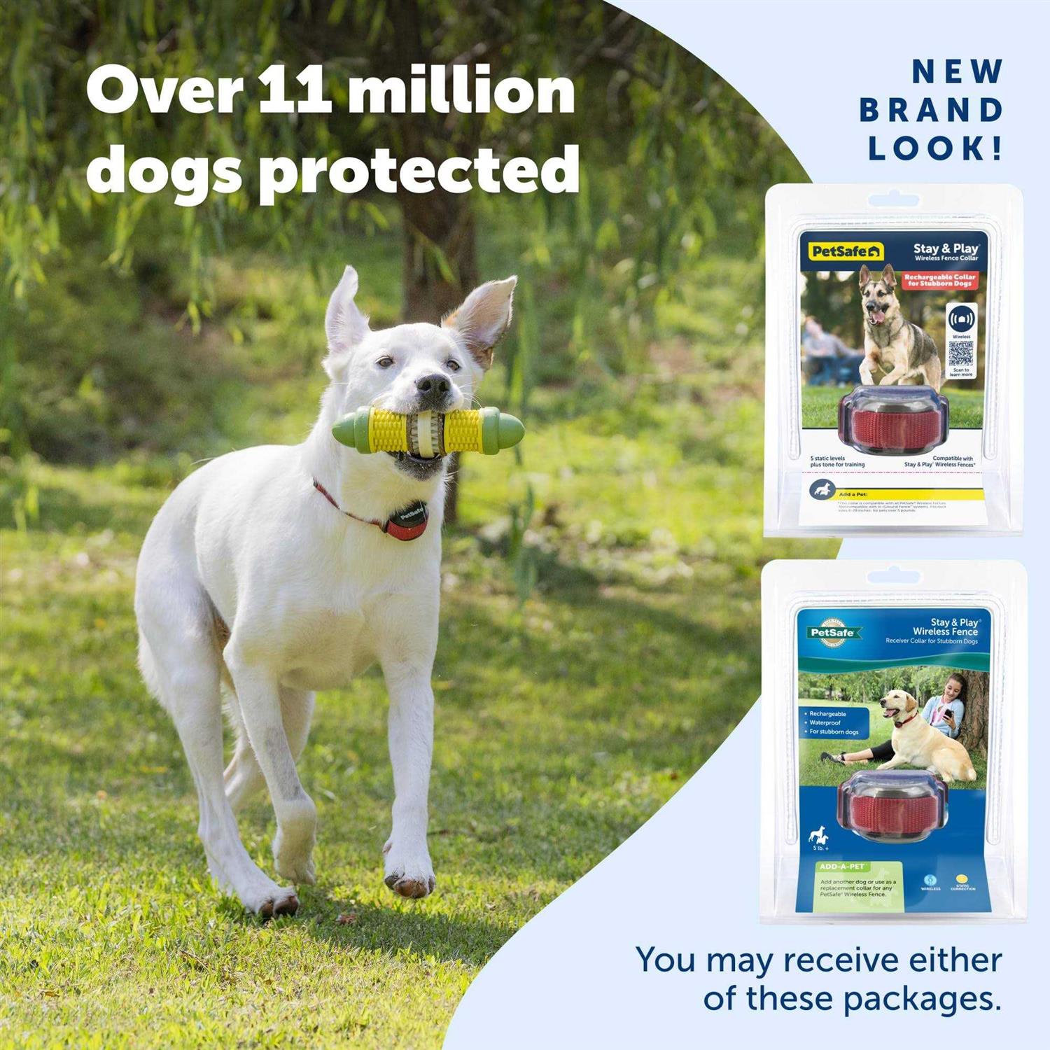 PetSafe Stubborn Dog Stay & Play Wireless Fence Receiver Collar - Pet Supplies online store