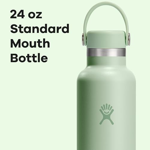 Hydro Flask 21 Oz Standard Flex Cap Black