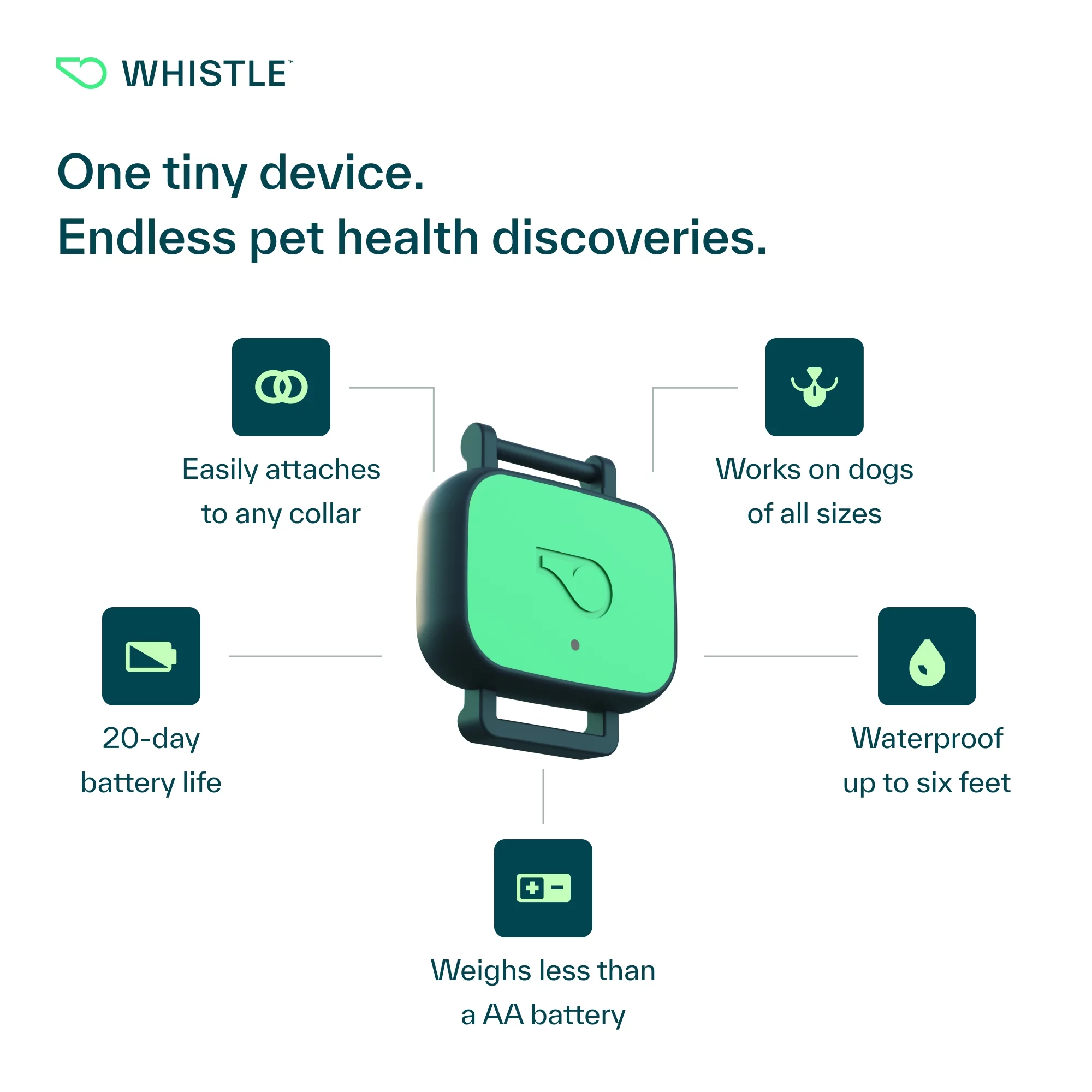 Whistle Health Smart Device | Dog Health and Fitness Tracker