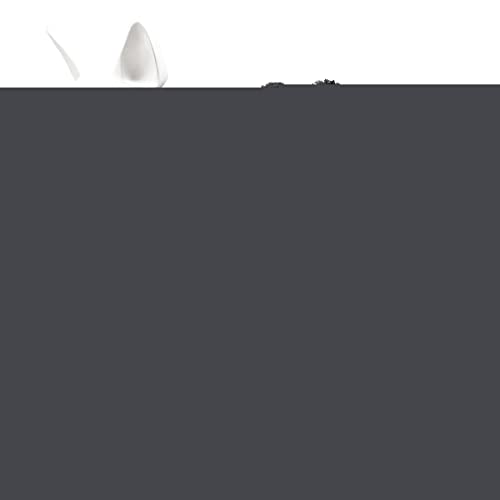 212 Main Creepy Webs Holiday Spider Pet Dog Costume Black - Extra Large