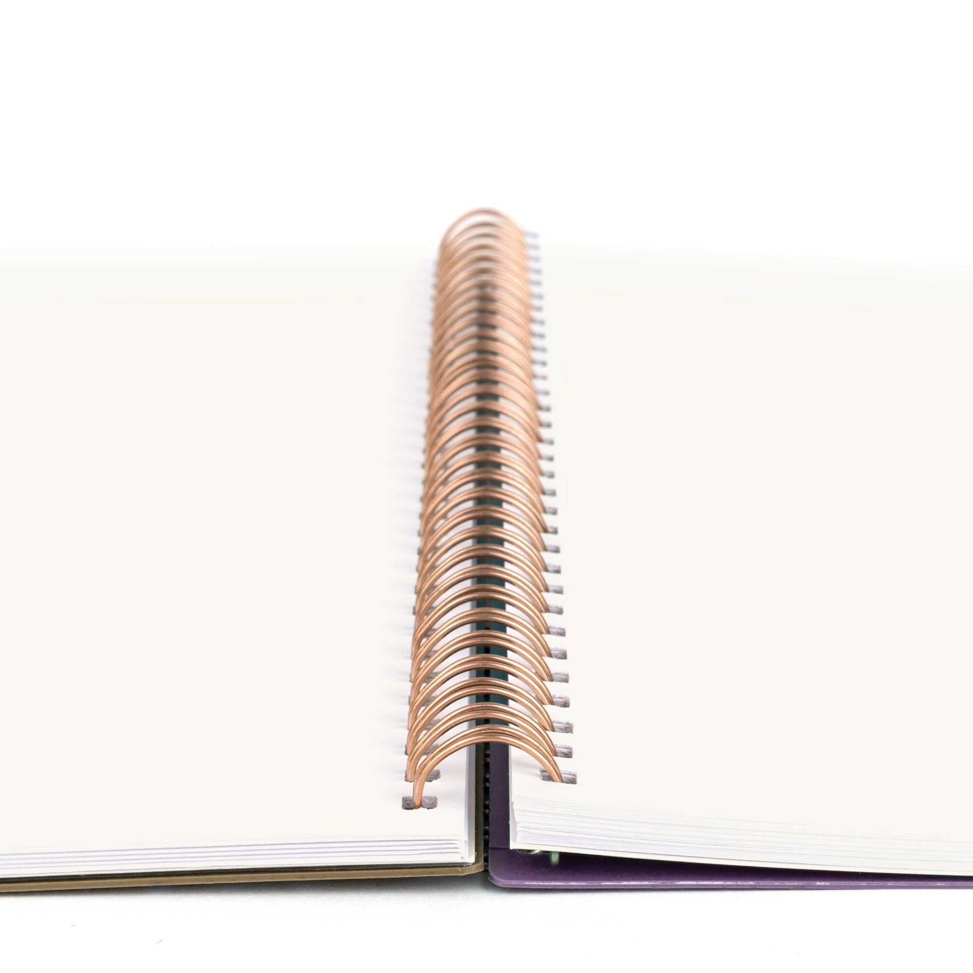 Cambridge Vienna 2024 Weekly Monthly Planner Large 8 12 x 11 - Planners